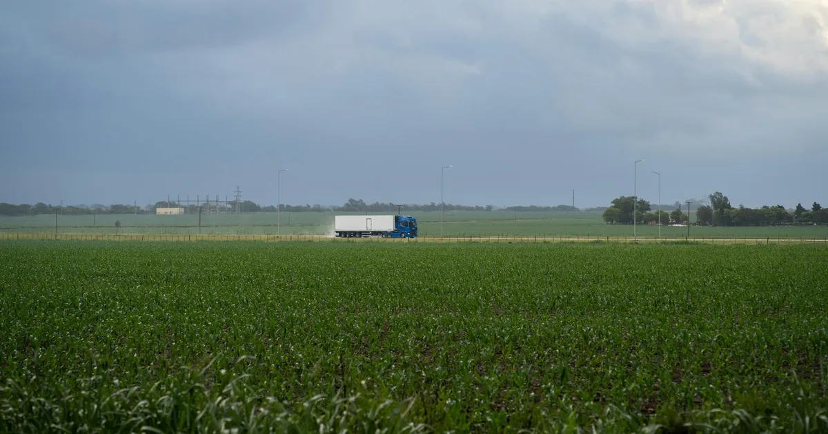 Acordo UE-Mercosul: Abertura de mercado e o futuro do agro brasileiro