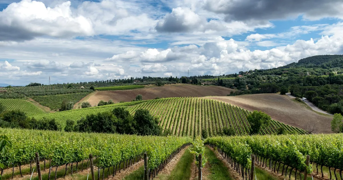 Agro pós-acordo Mercosul-UE: quem vai encher o bolso?