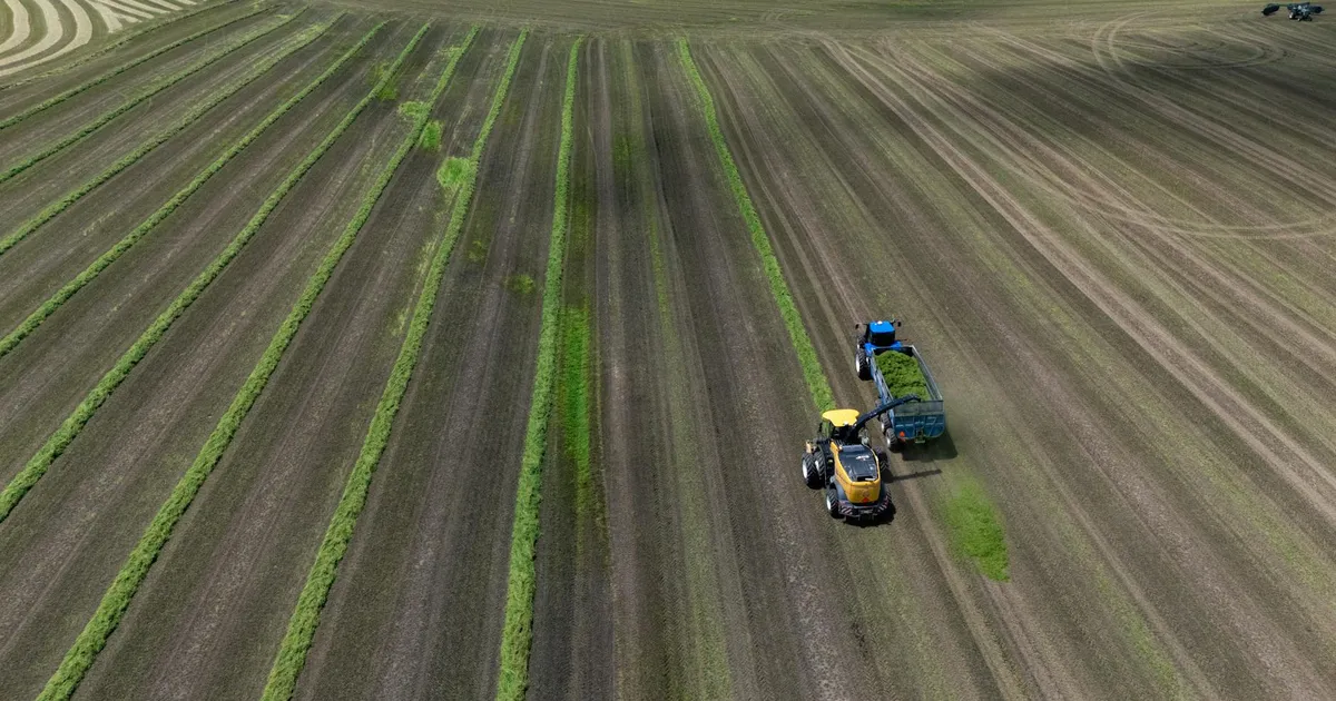 Agro no radar: calmaria após a tempestade na B3?