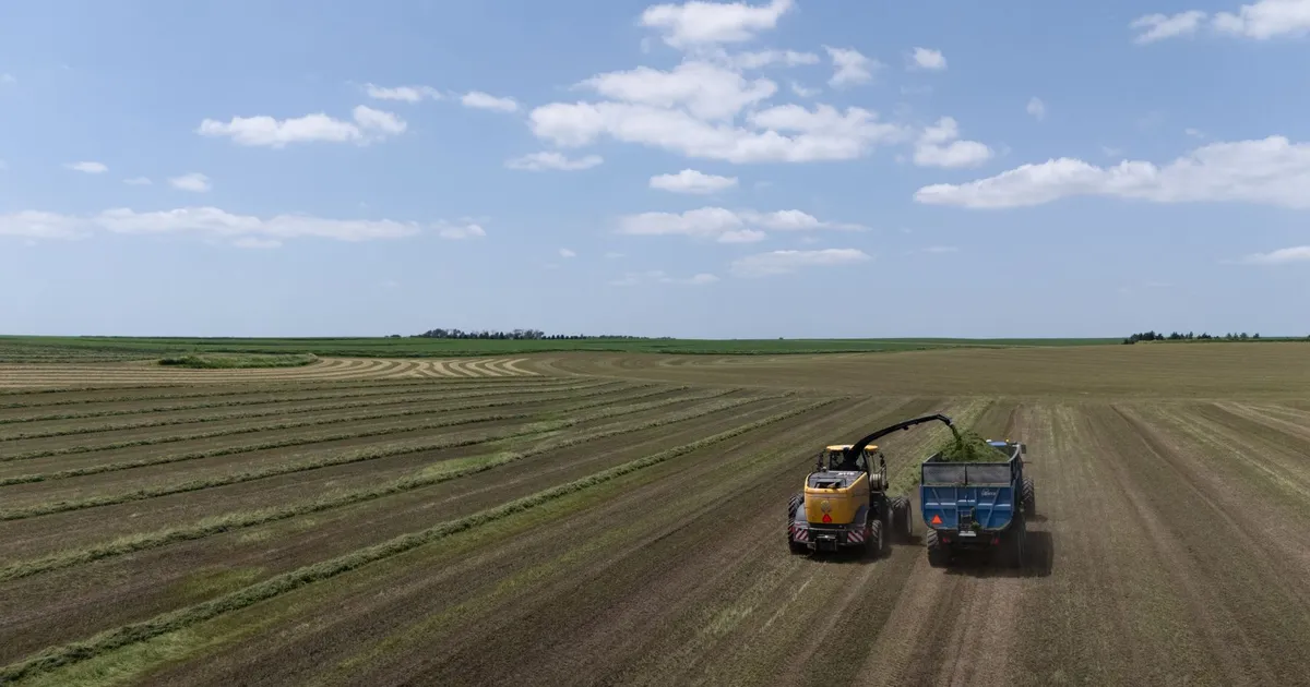 Agro e Energia: Novos Horizontes e Desafios