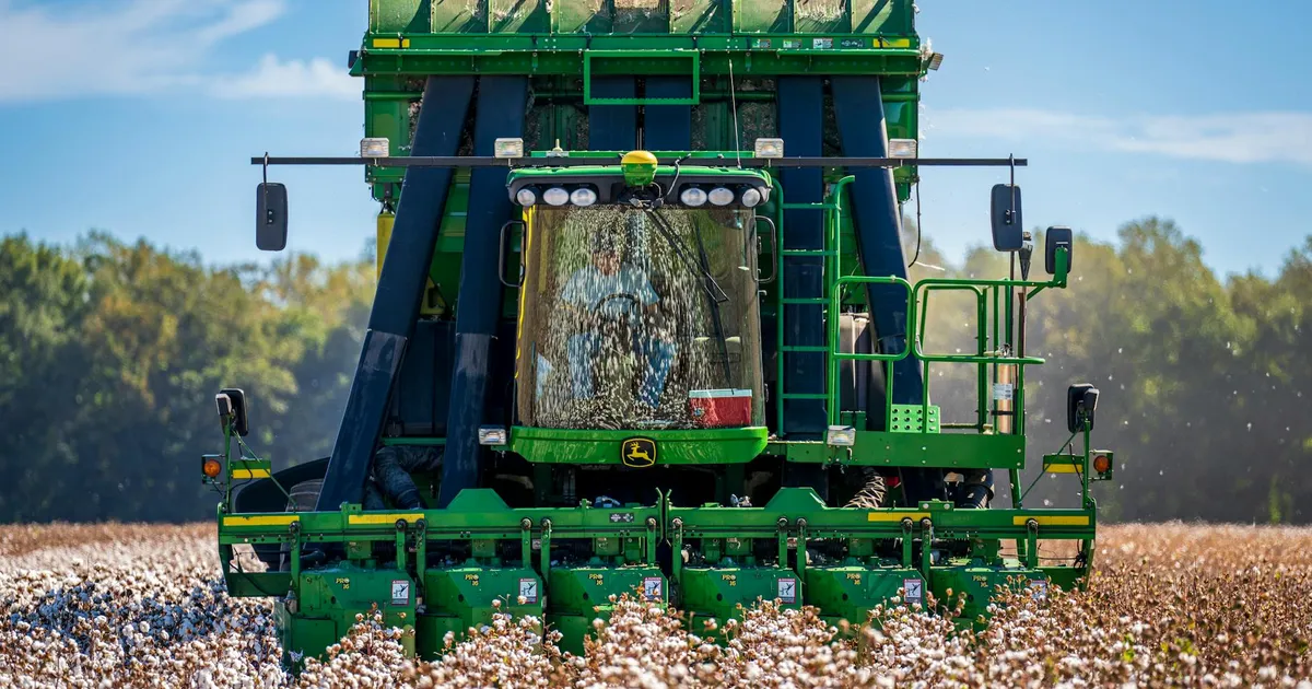 Colheita de algodão impulsiona agronegócio: Trator no campo reflete impacto das commodities na economia.