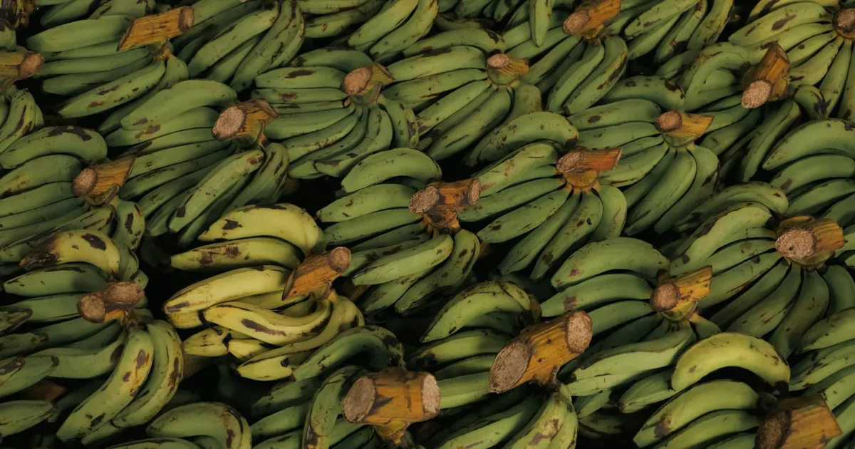 Agronegócio: China e EUA ditam rumos do setor