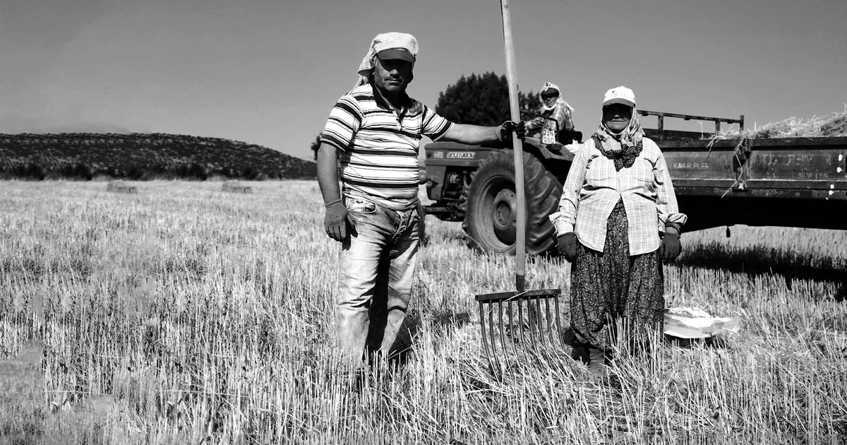 Agronegócio: Dívidas rurais ganham fôlego
