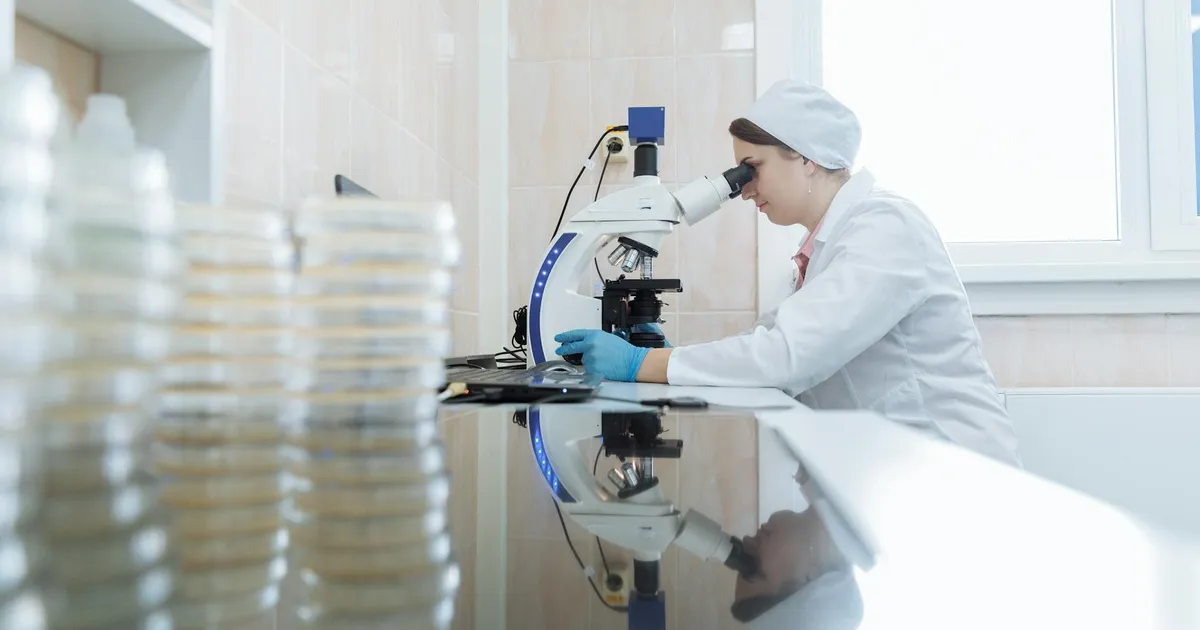 Ambev Brilha, BioNTech Corta Custos