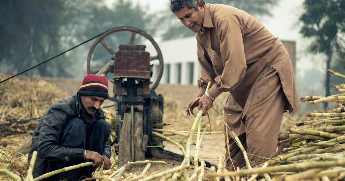 Bayer em Queda Livre, União Pet Reinventa-se e Klabin Modifica Estratégia