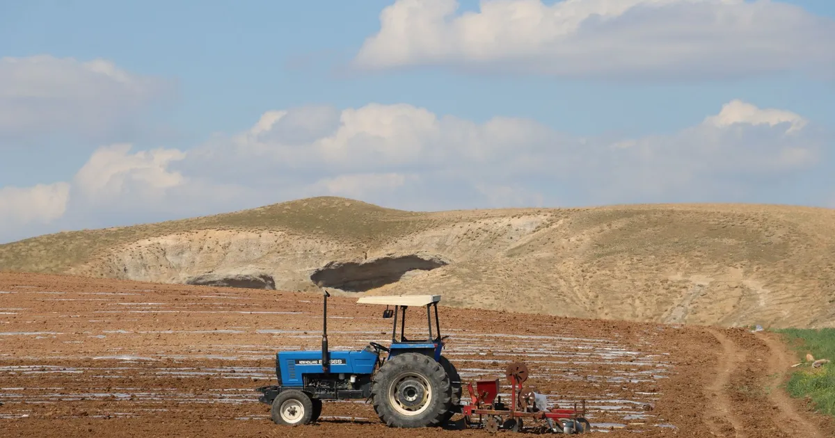 BB projeta R$ 210 bi em crédito agro; Safra ajusta carteira de dividendos com troca de ações