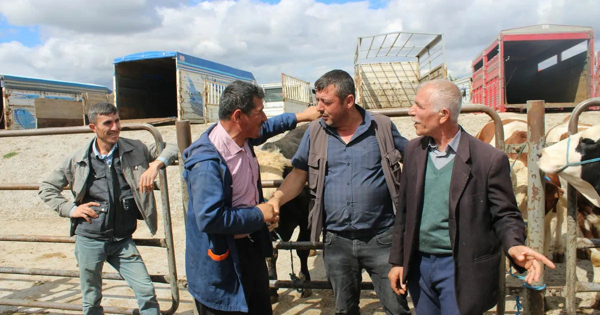 BB (BBAS3) Decepção pós-Balanço? Análise e Perspectivas