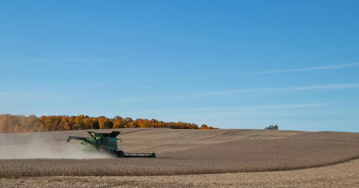 BBAS3: Lucro Surpreende, Mas Inadimplência No Agro Preocupa