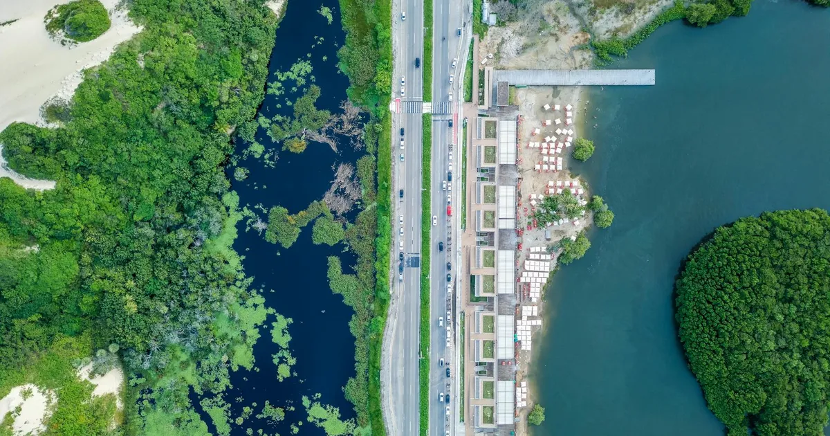 Brasil vai a leilão: o que muda na sua vida?