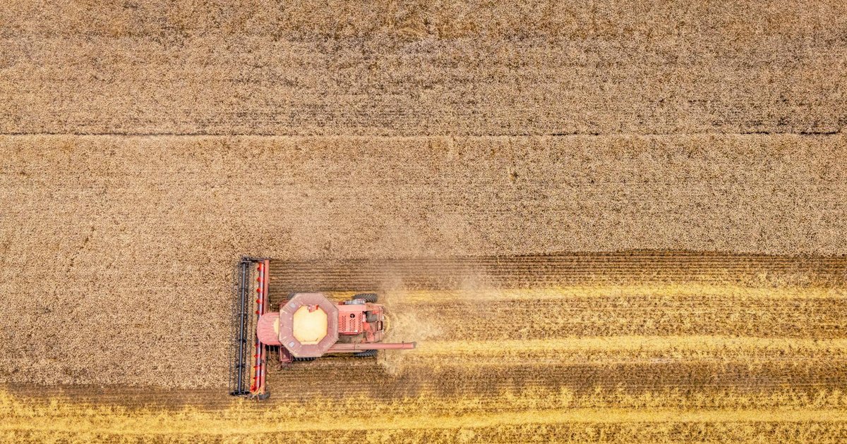 BTG elege os 'campeões' do agro e troca Gerdau na carteira