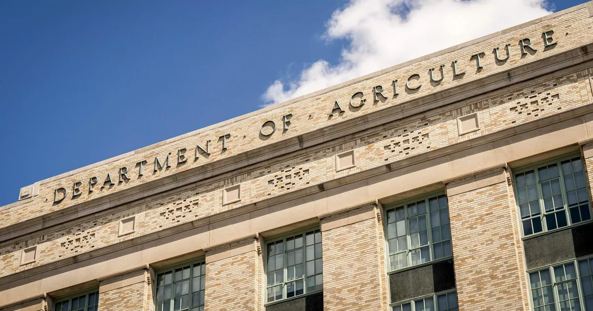 Master, BRB e Flávio: entenda a conexão que agita Brasília