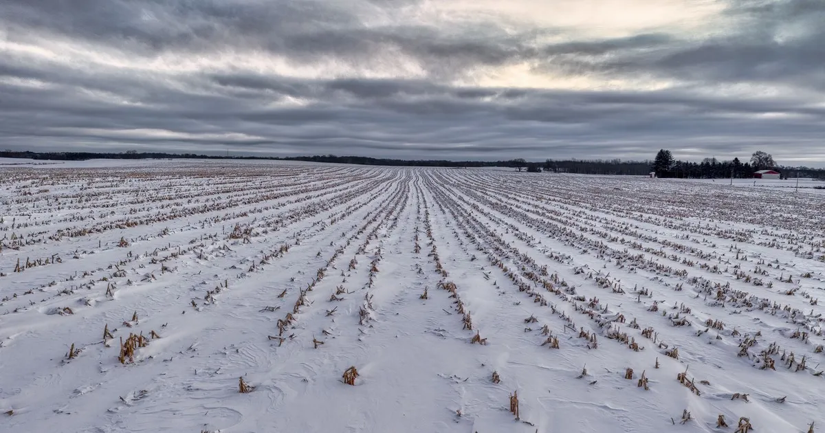 Campo nevado em Saint Charles, MN, pressionado pelo clima adverso afetando agro e infraestrutura.