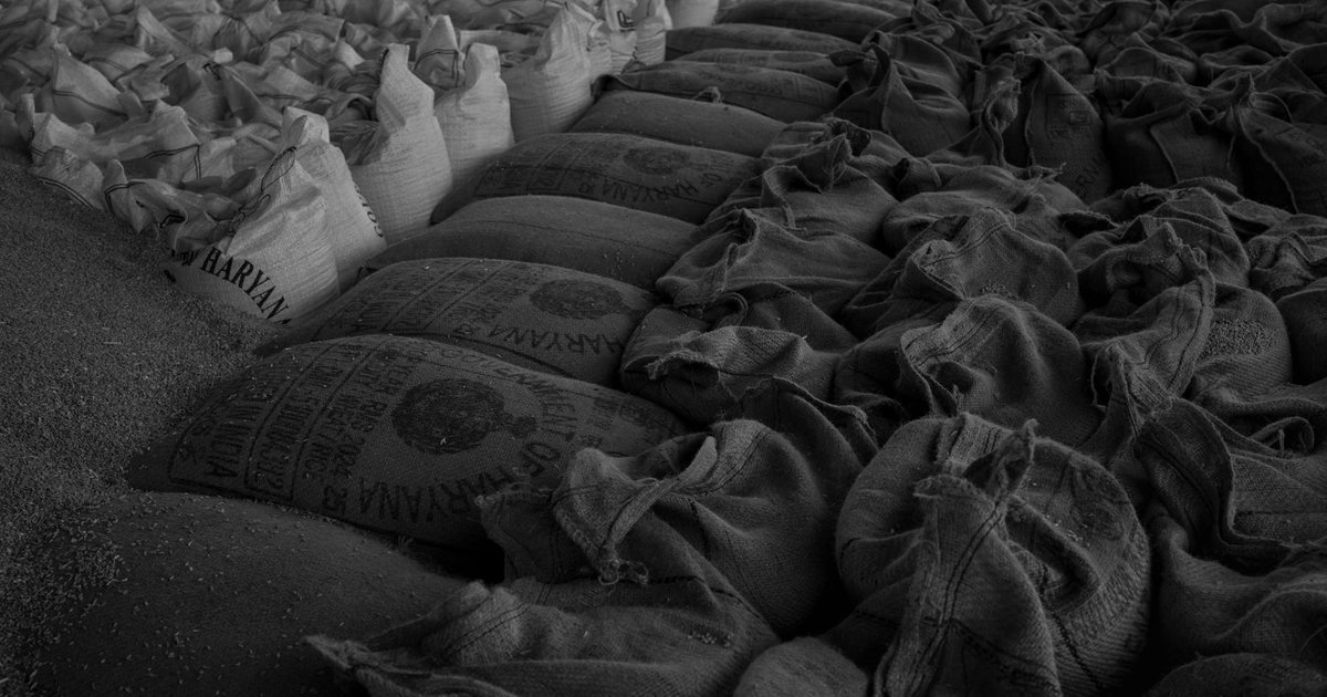 Commodities: O Que São? O Guia Definitivo