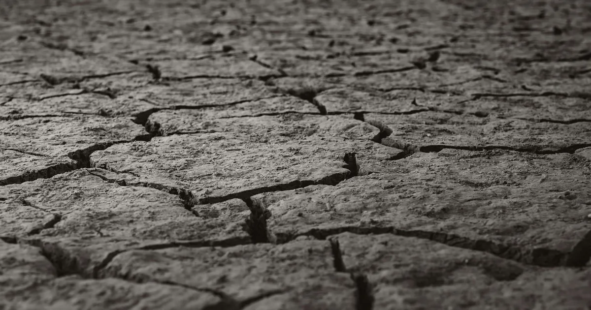 Terra rachada e seca, símbolo dos riscos de El Niño e seca no agronegócio, inflação e consumo doméstico.