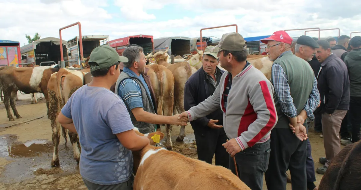 CPRs: Por que os Certificados de Recebíveis do Agronegócio viraram Febre na B3?