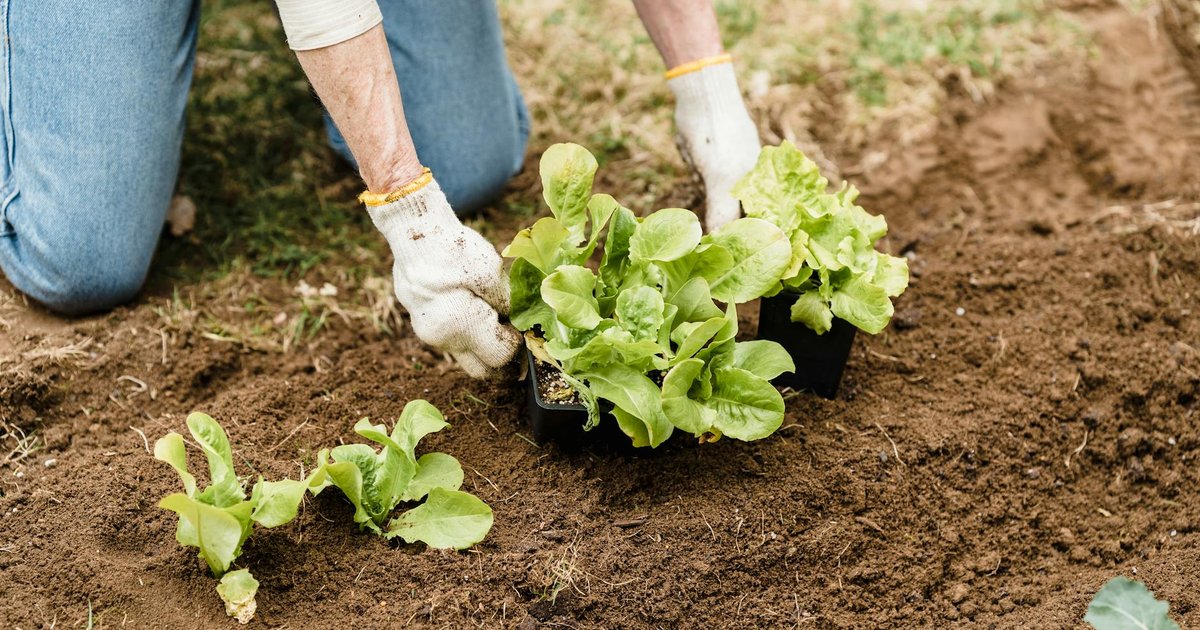Crédito de Carbono, FGC e Agronegócio: Análise Semanal e Perspectivas