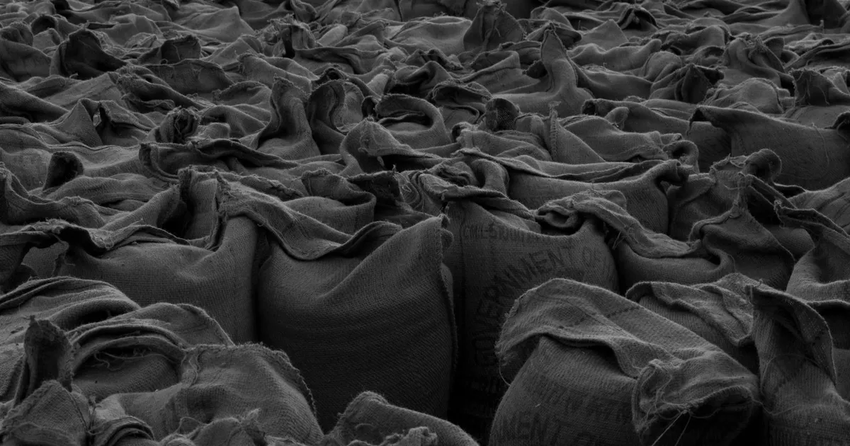 Sacos de fertilizantes: crise global afeta o agronegócio brasileiro, tarifas e PIB.