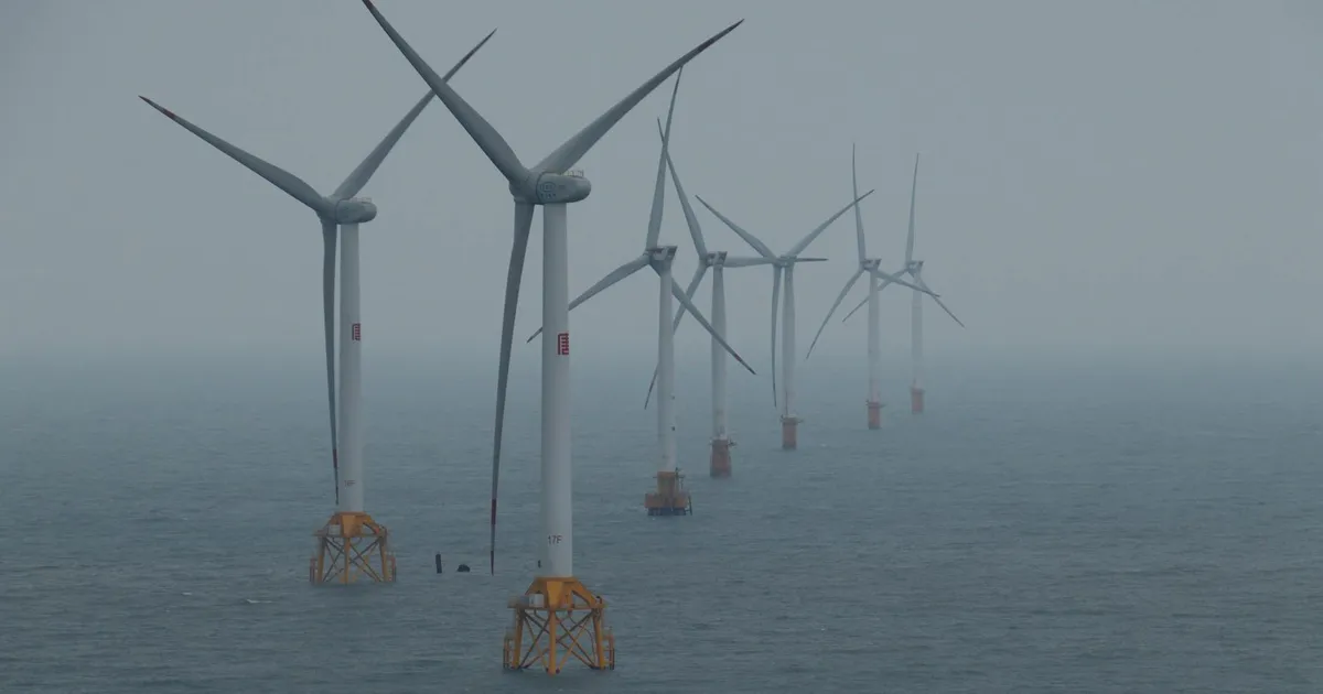 Eólicas no mar: energia limpa turbina economia e pode gerar empregos