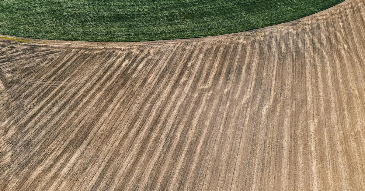 Vista aérea de campos agrícolas. Financiamento agro e crédito rural são cruciais para o agronegócio, unindo Faria Lima e c...