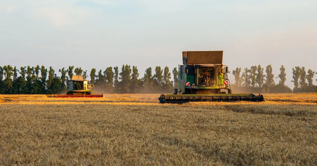 Colheitadeiras em campo de trigo dourado, simbolizando investimentos em agronegócio com Fiagros.
