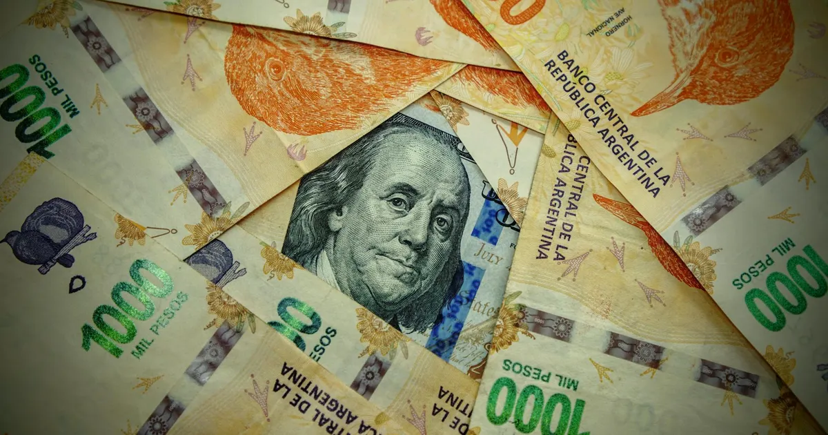 Pesos argentinos e dólar: FMI na Argentina impacta economia e famílias no Brasil. Dívida e exportações em foco.