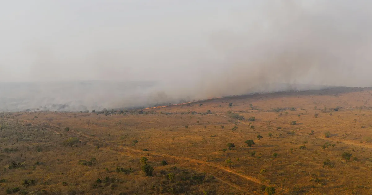 Incêndios: Dino aperta União e estados por plano contra El Niño