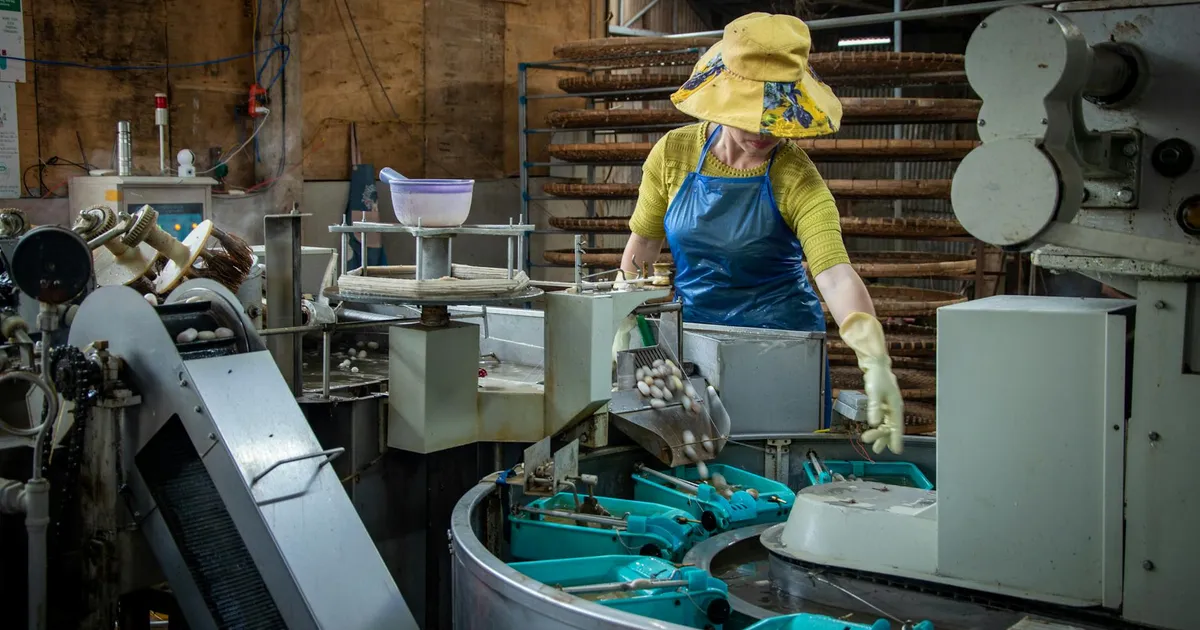 Indústria respira! Produção tem maior alta em 1 ano e meio