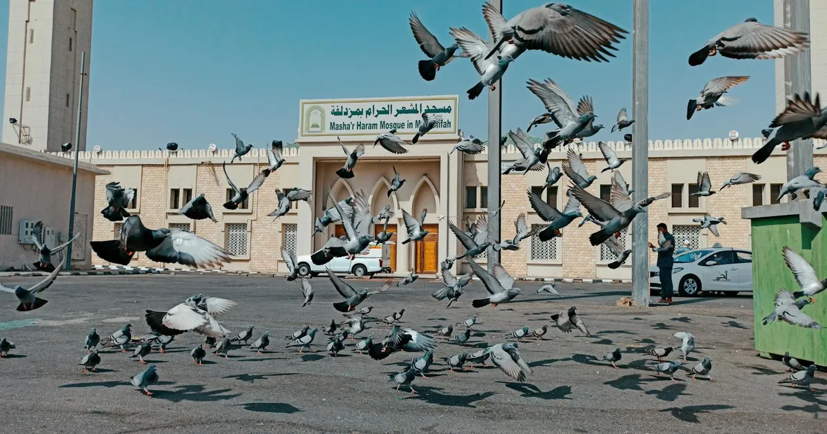 Pombas em Meca: Paz no Oriente Médio impacta juros futuros e renda fixa.