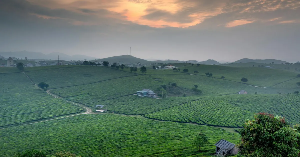 Lira e o agro: Fazendas sob o sol. Jatinho de Arthur Lira financiado pelo agronegócio? Entenda a política.