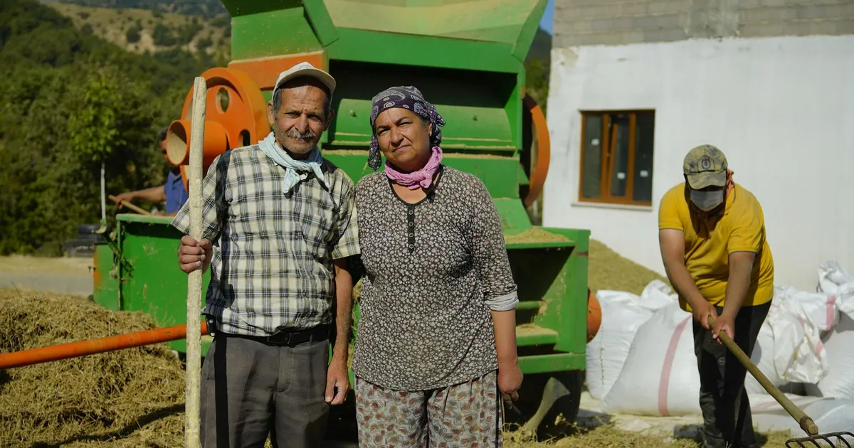 Agricultores trabalhando: Pronaf turbinado impulsiona agricultura familiar. Lula e saúde no foco, enquanto Congresso debat...