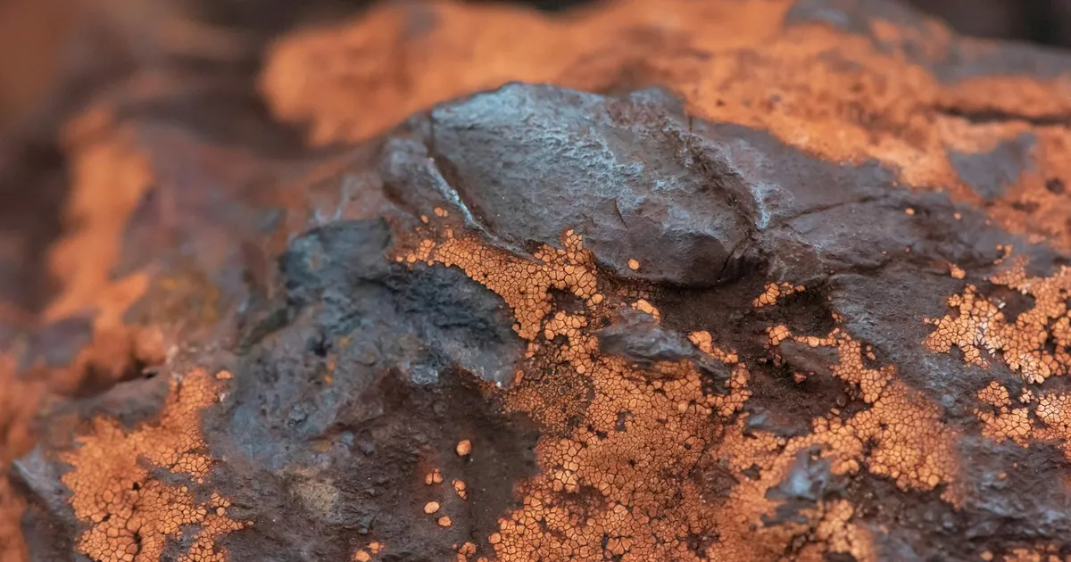 Yduqs e Cogna: Vale a Pena Comprar? Análise do Itaú BBA