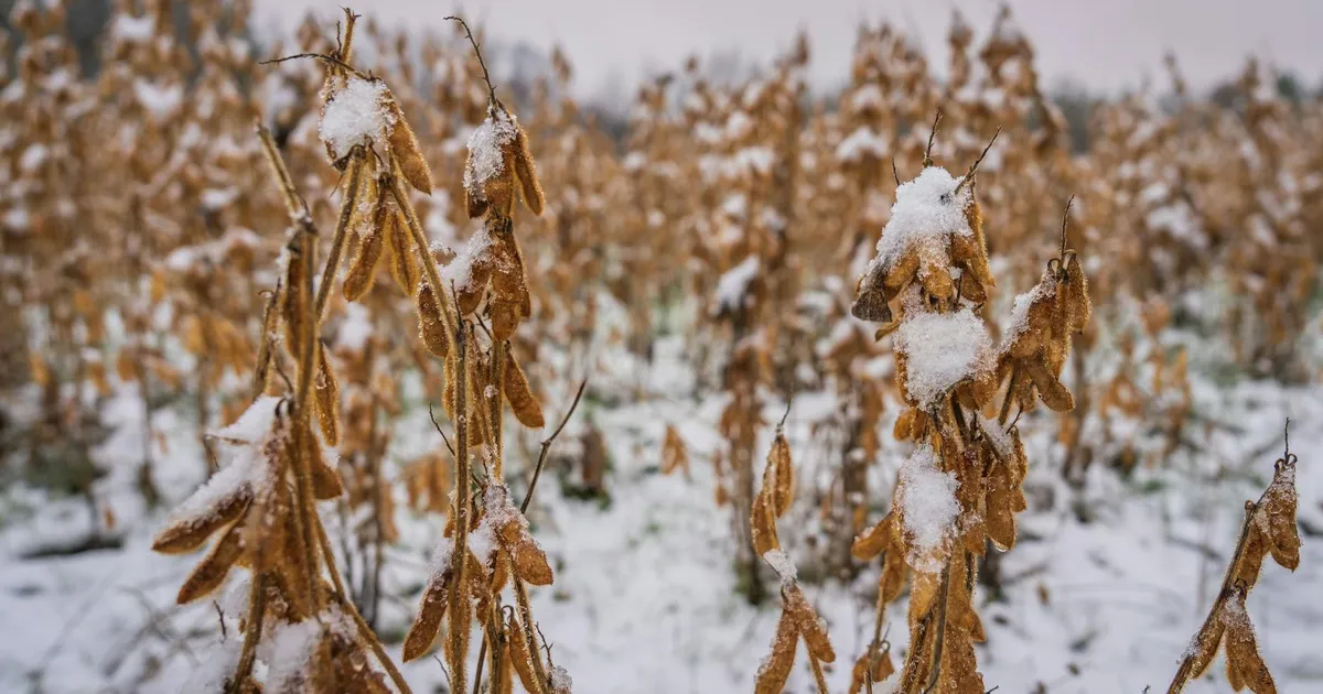Fazenda trocando de mãos: o que muda com a saída de Haddad?