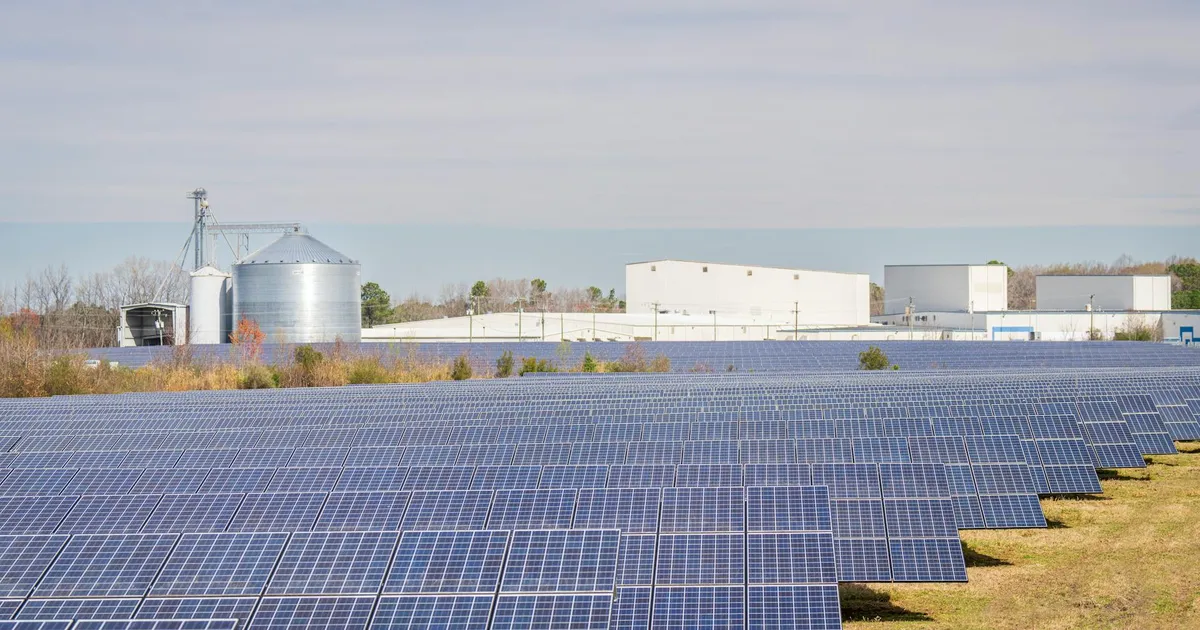 Natura decola e Brava derrapa: o que explica os extremos de hoje?