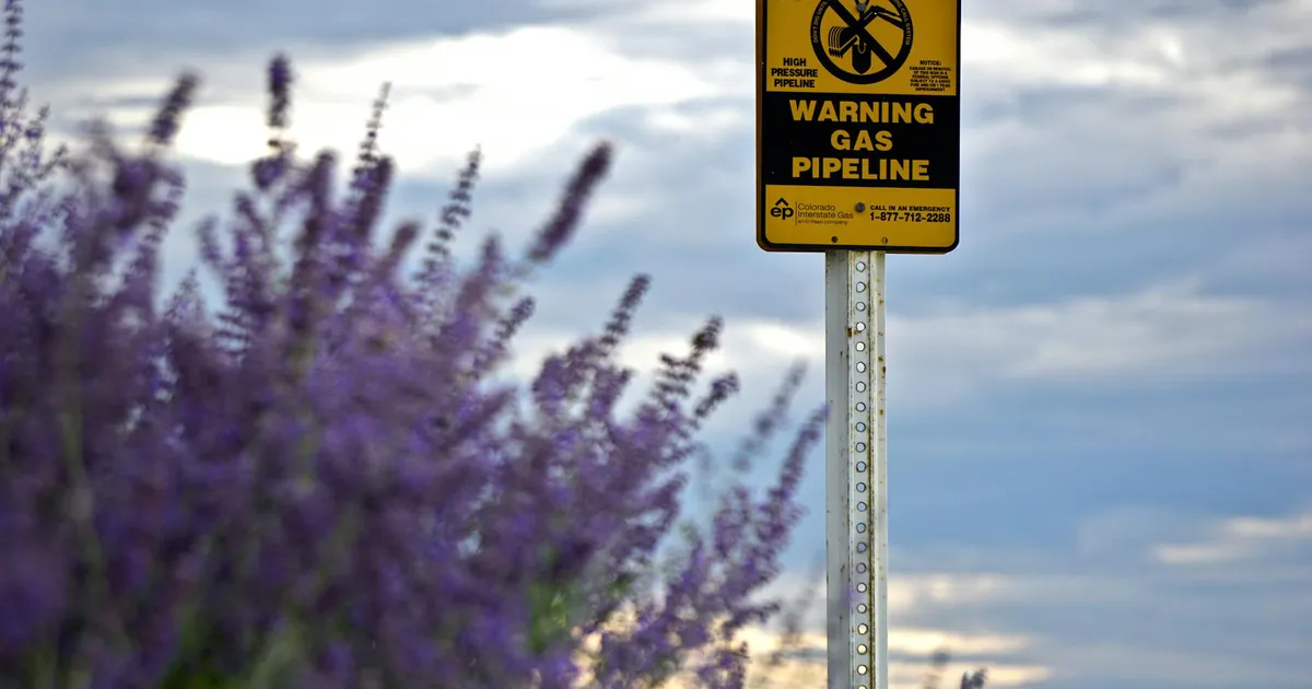 Gás natural na Colômbia: Sinalização em campo de lavanda, representando novas descobertas da Petrobras e potencial para di...