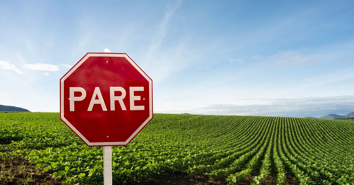 Plano Safra 2026/2027: Juros Menores no Agro, Mas Financiamento Ainda é Desafio