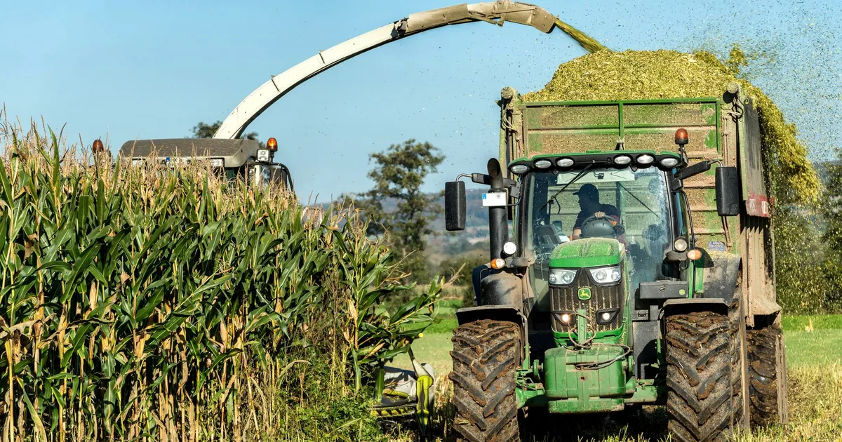 Raízen patina, Agro em transformação e El Niño: o resumo do dia