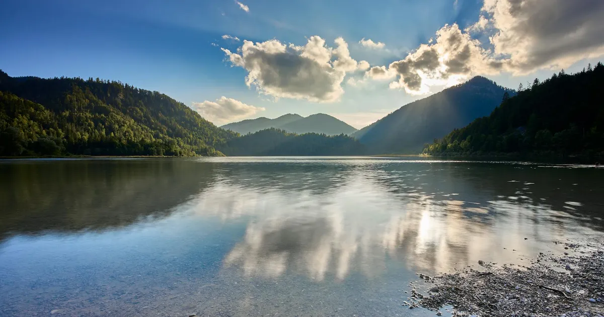 RandonCorp Dispara! O Que Mais Bomba (e o Que Explodiu) na Bolsa