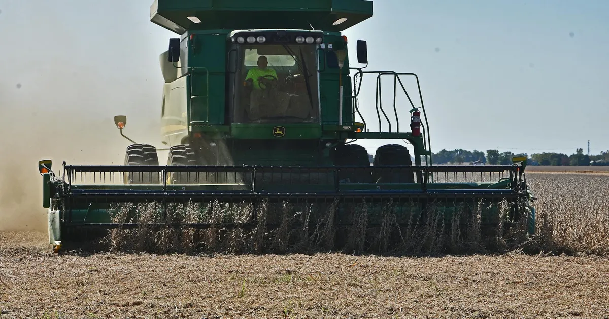 Soja emperrada? Entenda o impacto da China no seu supermercado