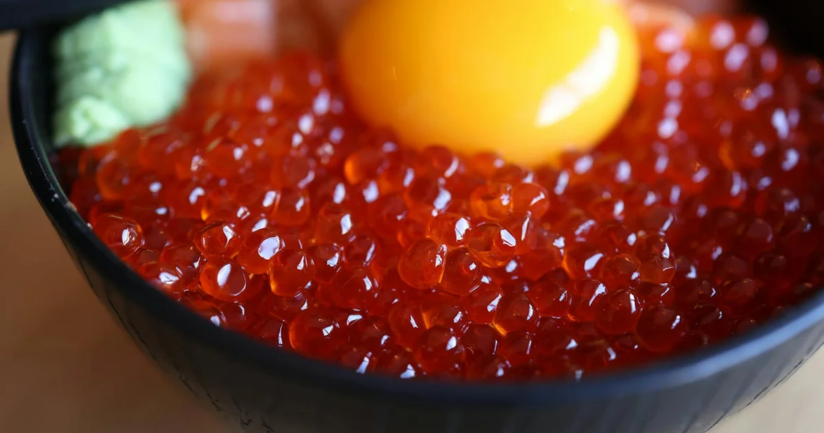 ROE: O Guia Definitivo Para Maximizar Seu Retorno!