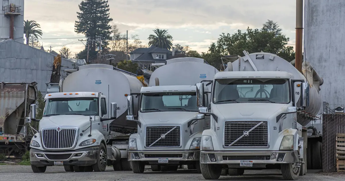 Shopee Impulsiona TRBL11, Vale em Declínio, Gol Avança e Mais Notícias do Mercado Financeiro