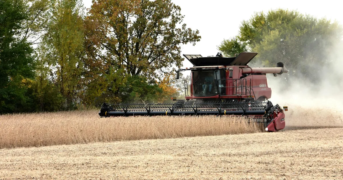 Soja salva safra recorde, mas China preocupa; o que esperar?