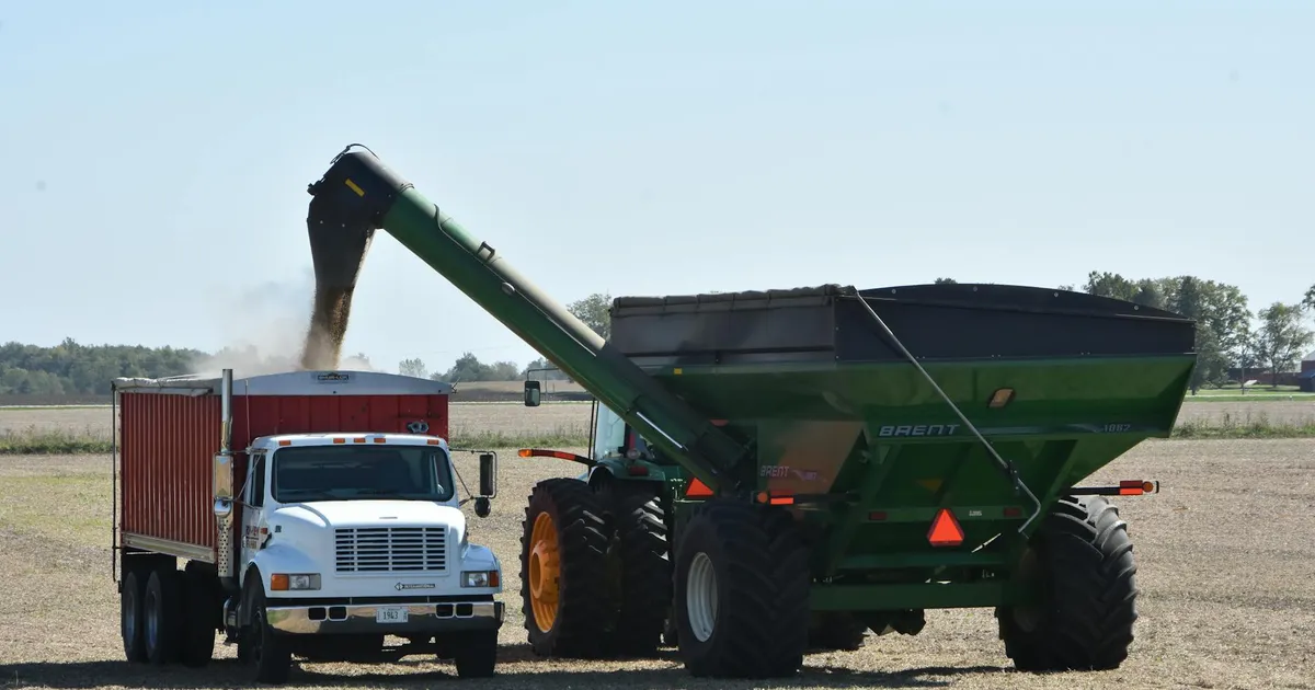 Colheita de soja impulsiona exportação, mas infraestrutura preocupa. Agronegócio no campo.