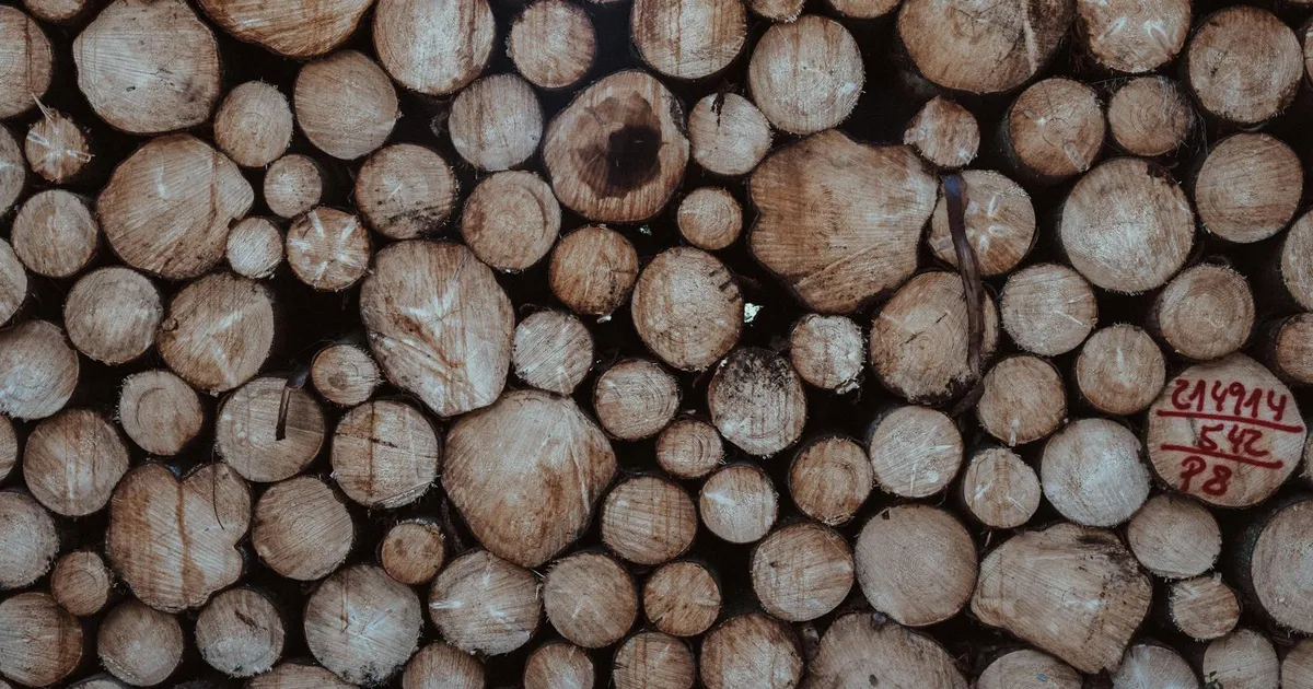 Suzano turbina caixa com nova linha de crédito bilionária