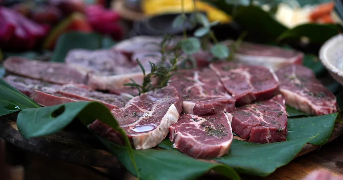 Fatias de carne fresca em folha verde com ervas, símbolo da agropecuária brasileira na encruzilhada comercial.